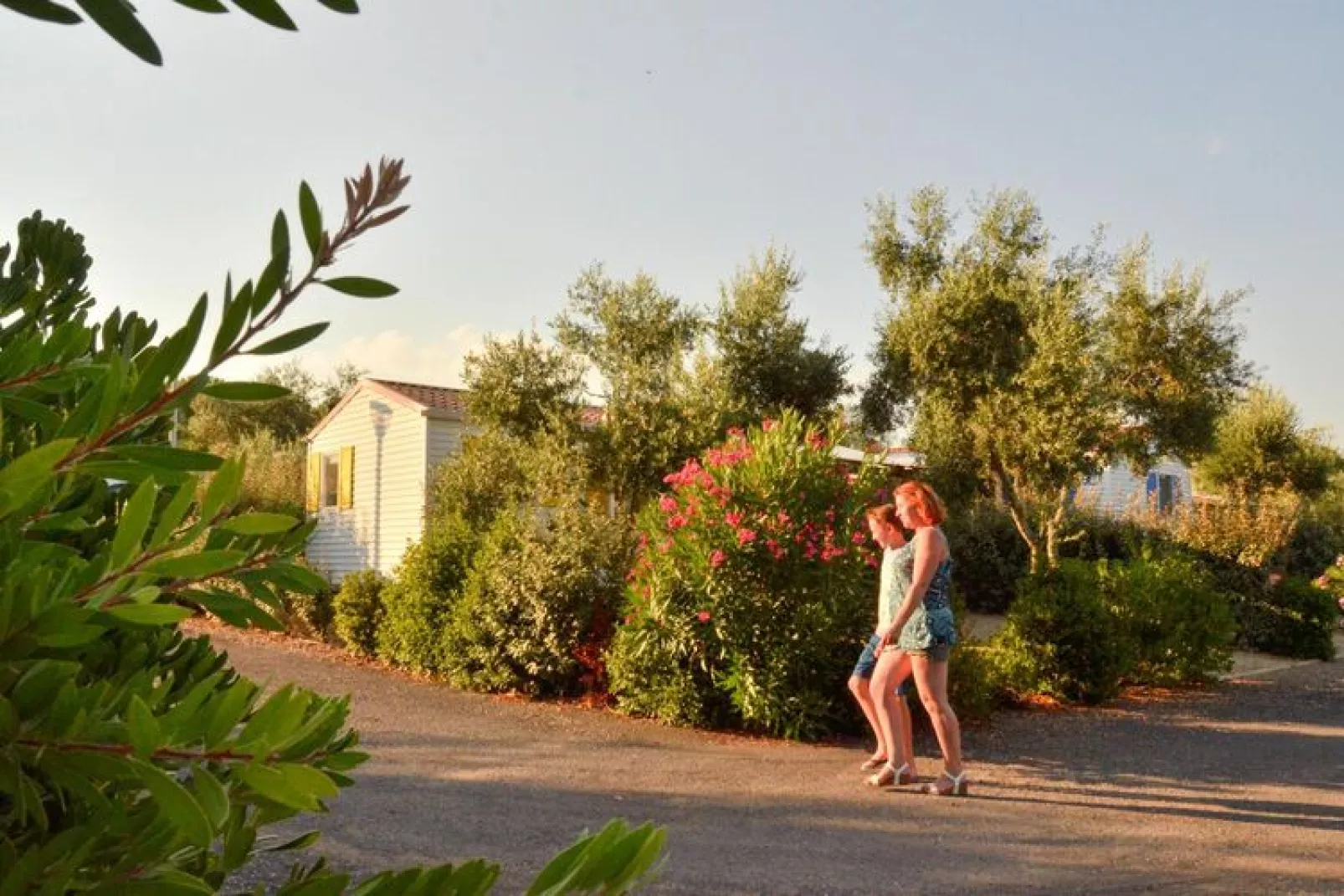 Caravanpark Domaine Sainte Véziane Bessan-Mobilhome Confort 2 chambres 4-6 pers-Jardin d'été