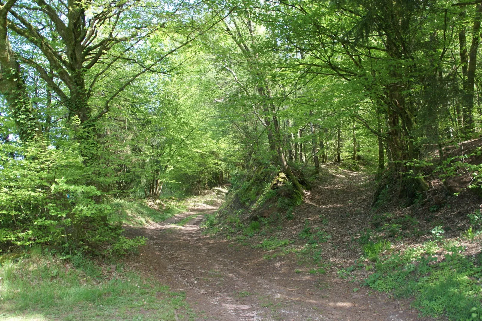 Mon Repos-Areas summer 1km
