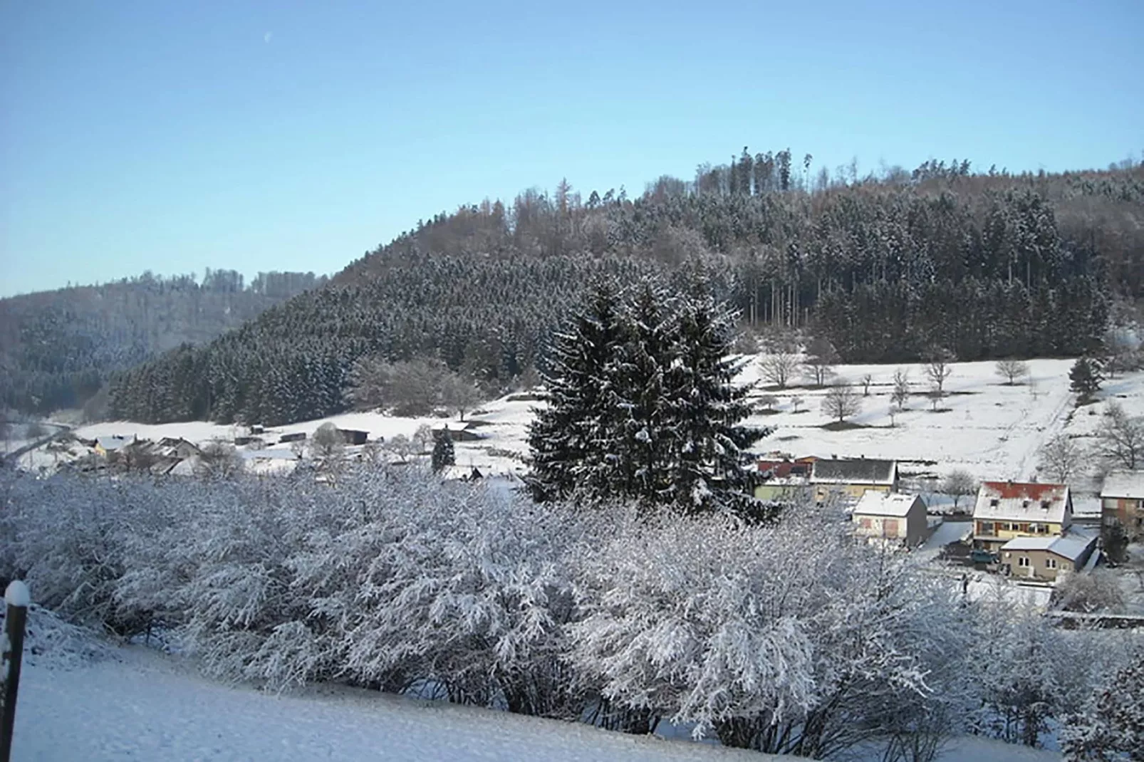 Mon Repos-View winter