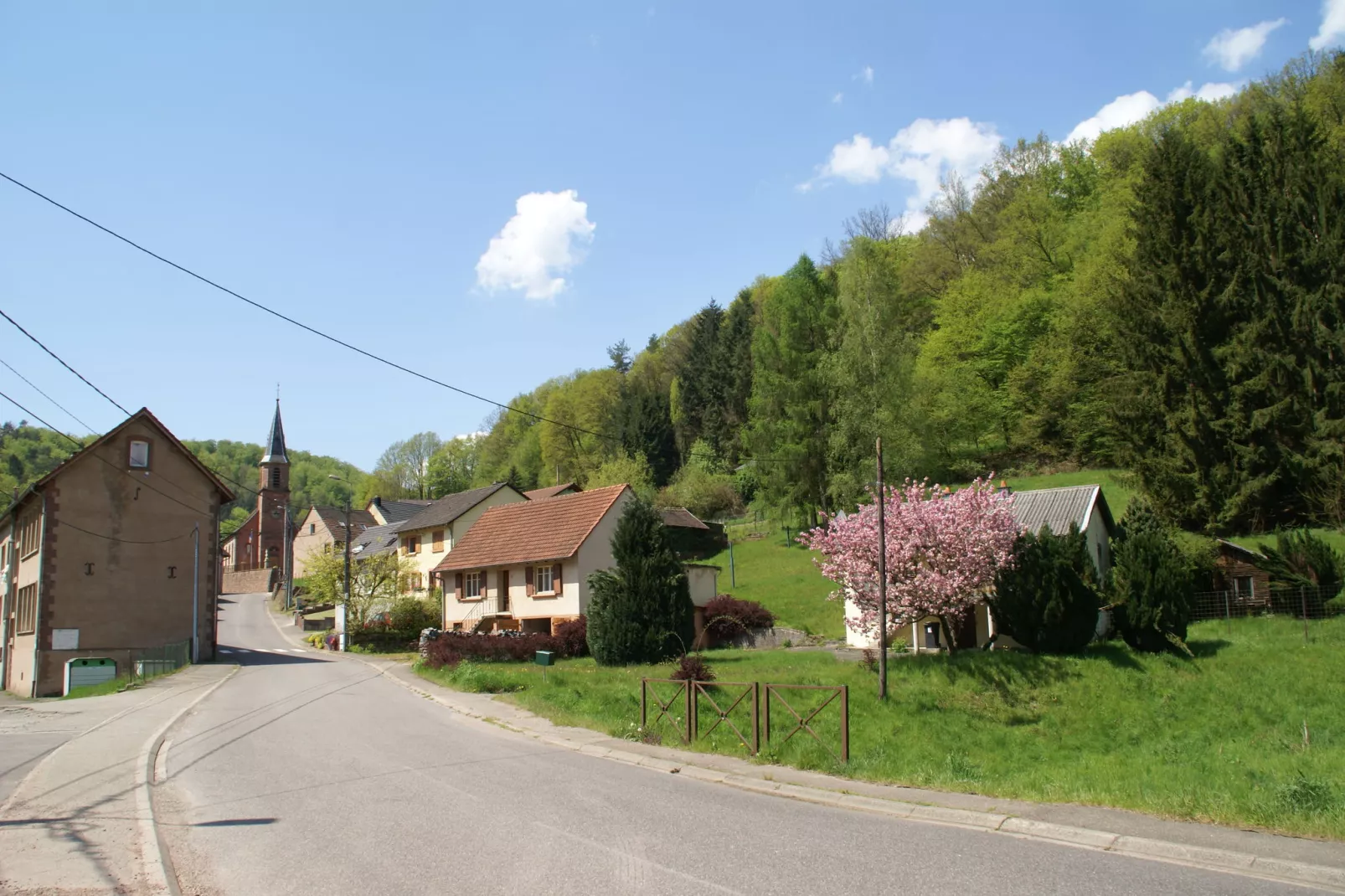 Mon Repos-Areas summer 20km