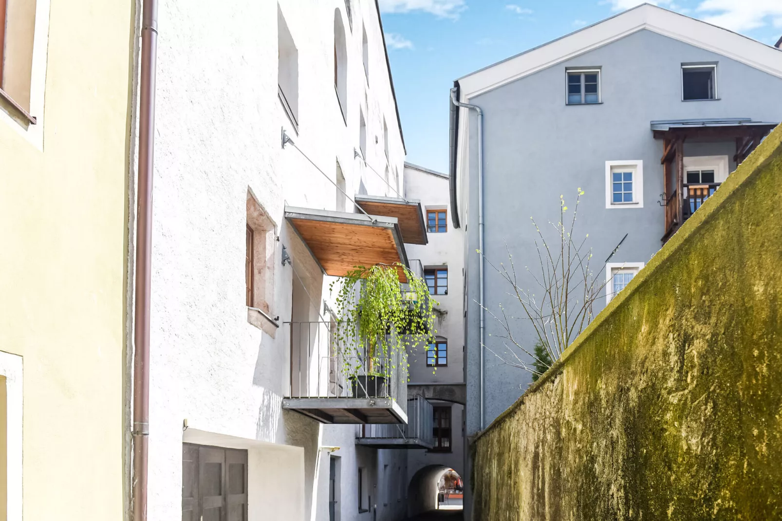 Ferienappartment Moser-Areas summer 1km