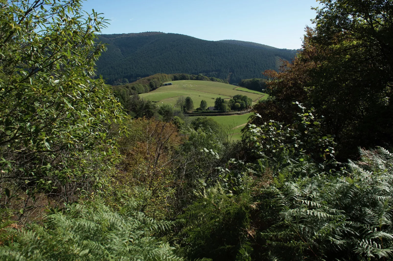 Gîte St Honoré les Bains-Aussicht Sommer