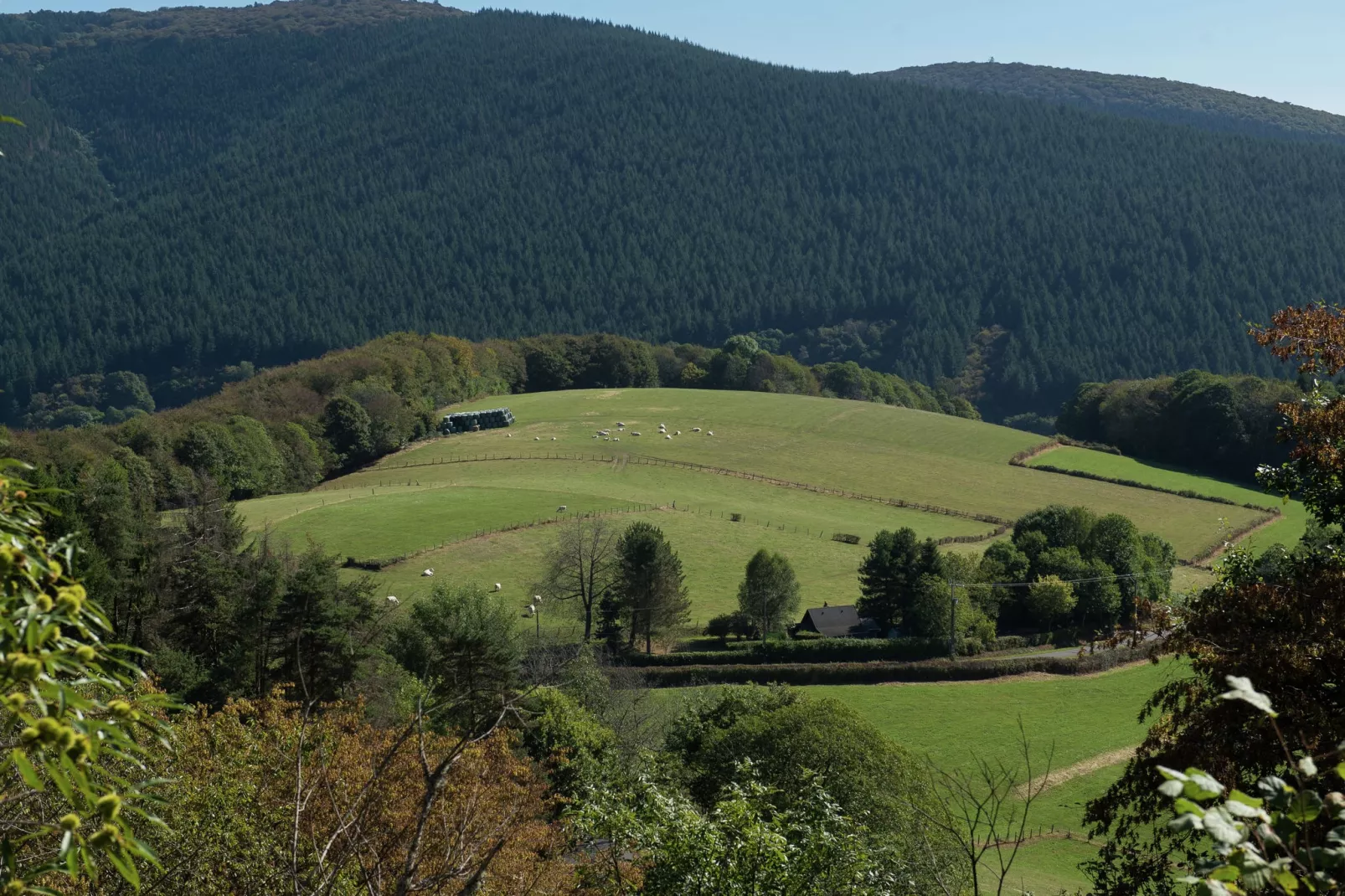 Gîte St Honoré les Bains-Gebiete Sommer 1 km