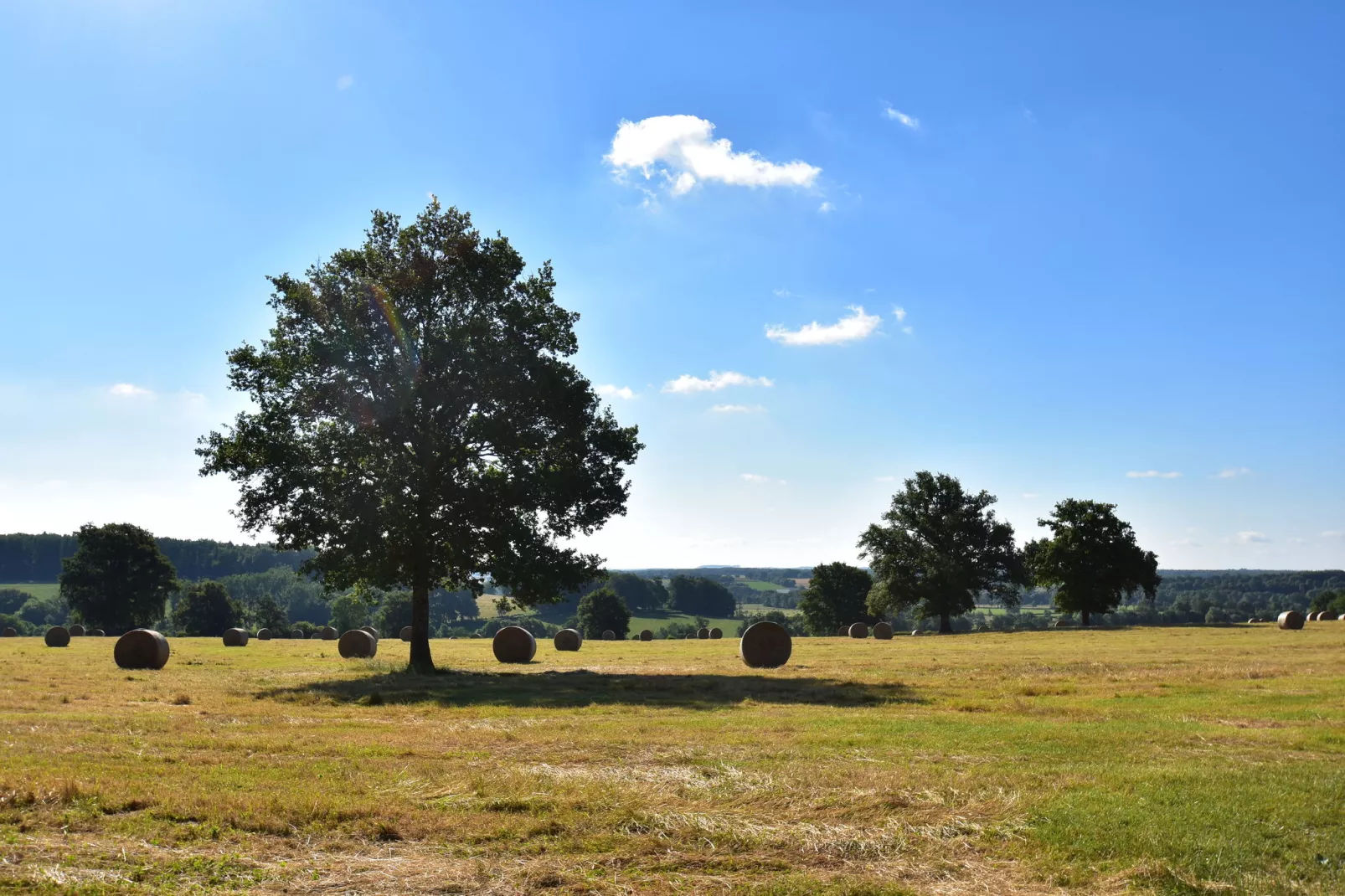 Maison Ferdinand & Annelore-Areas summer 20km