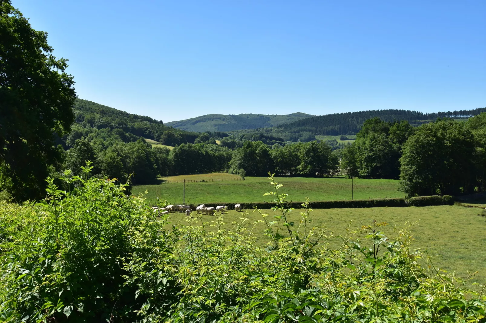 Maison Ferdinand & Annelore-Areas summer 20km