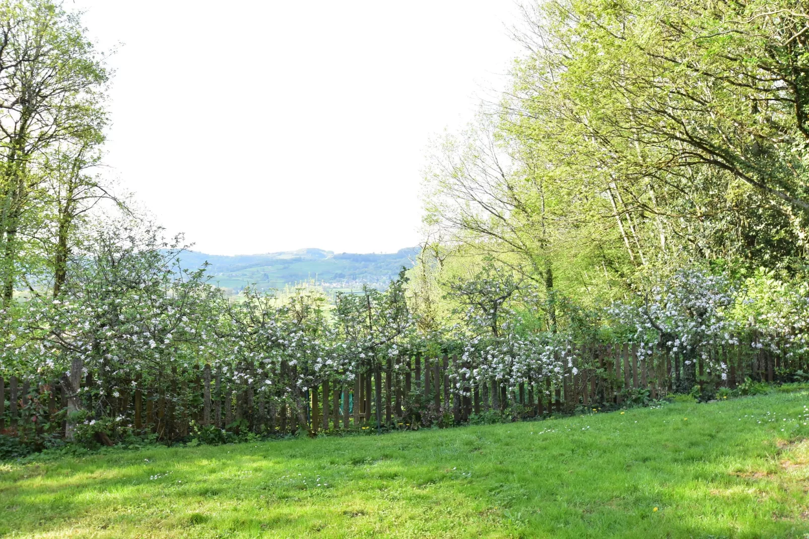 Laiterie du manoir de Thard-View summer