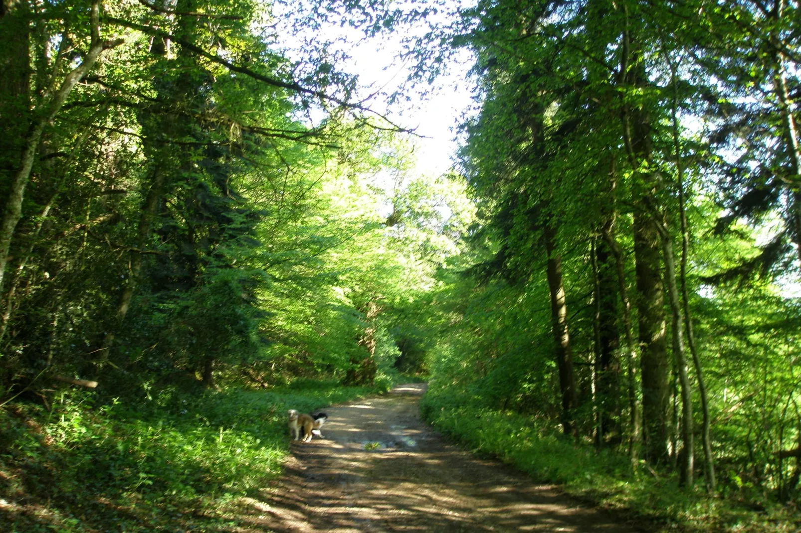 Laiterie du manoir de Thard-Areas summer 1km