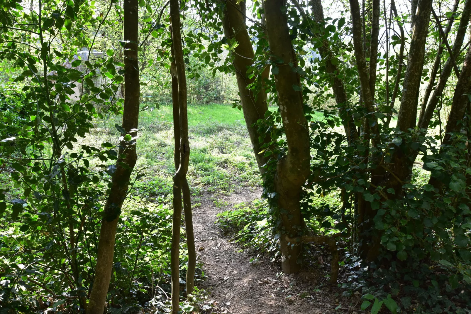 Laiterie du manoir de Thard-Areas summer 1km