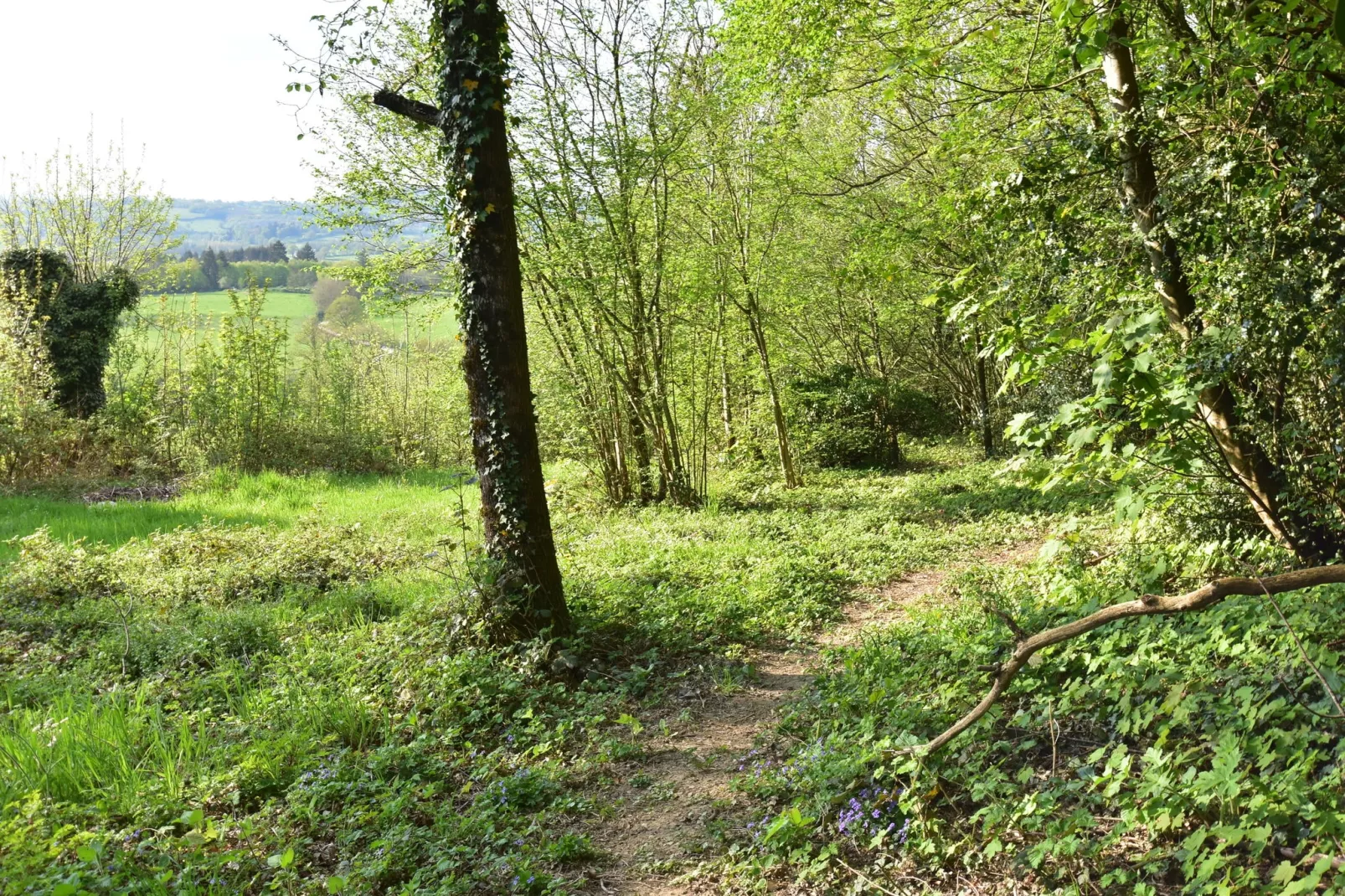 Laiterie du manoir de Thard-Areas summer 1km