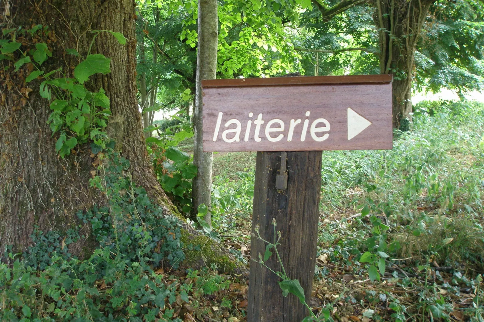 Laiterie du manoir de Thard-Atmosphere