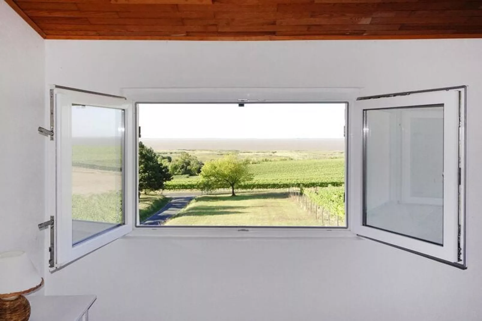 Holiday home Chenac-St-Seurin-d'Uzet-View summer