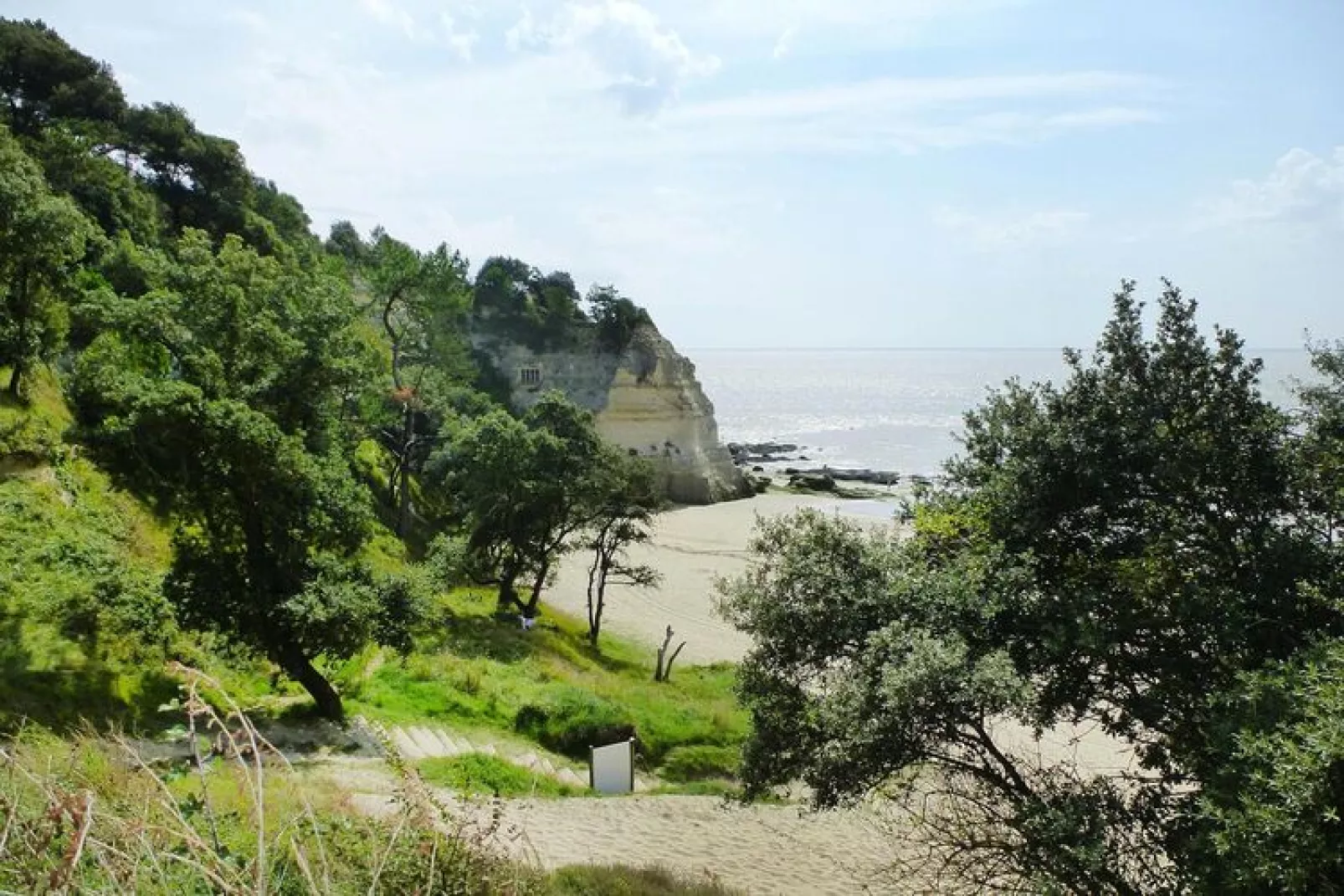 Holiday home Chenac-St-Seurin-d'Uzet-Areas summer 20km