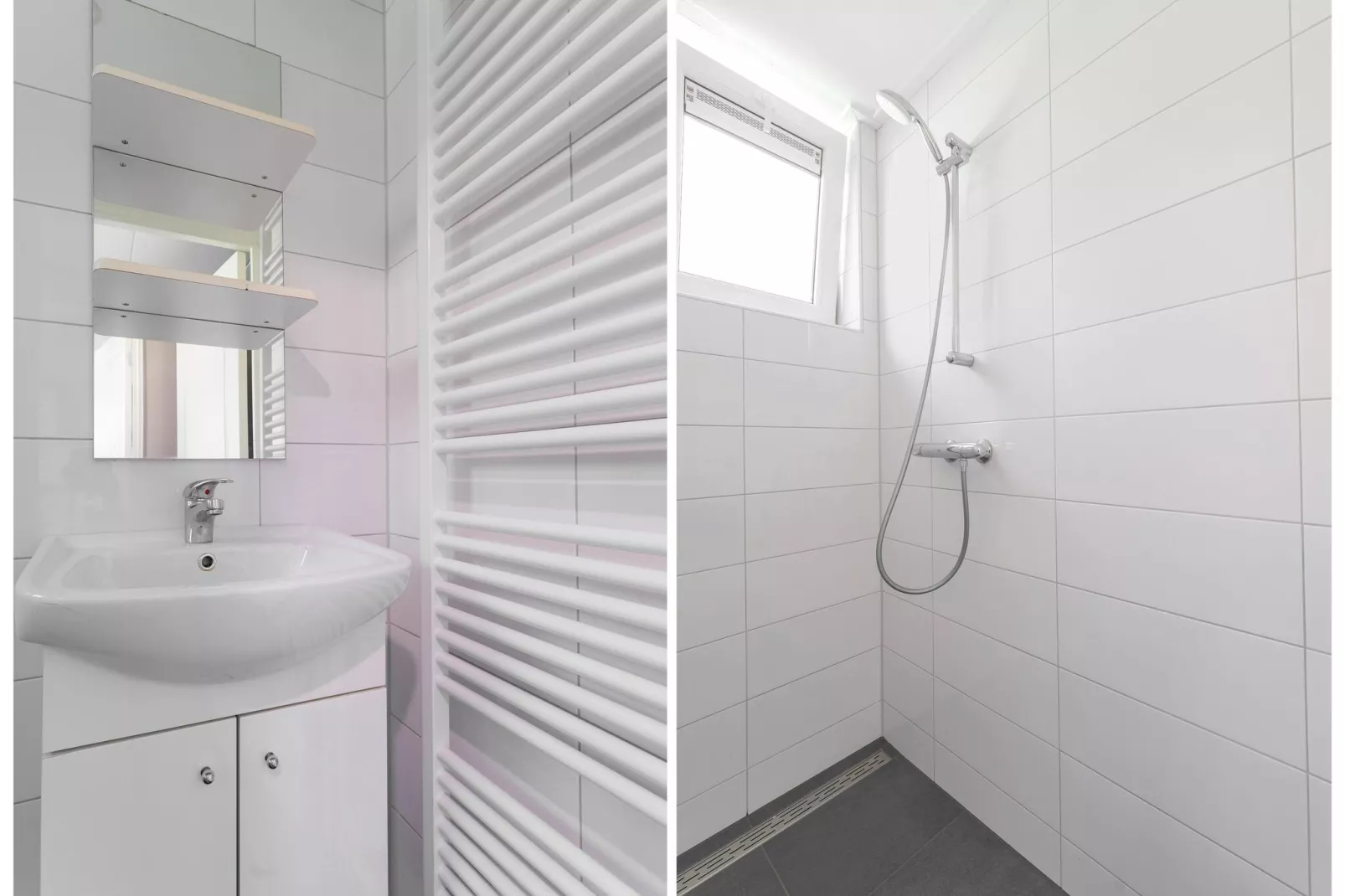 Familiehuis Ruighenrode-Salle de bain