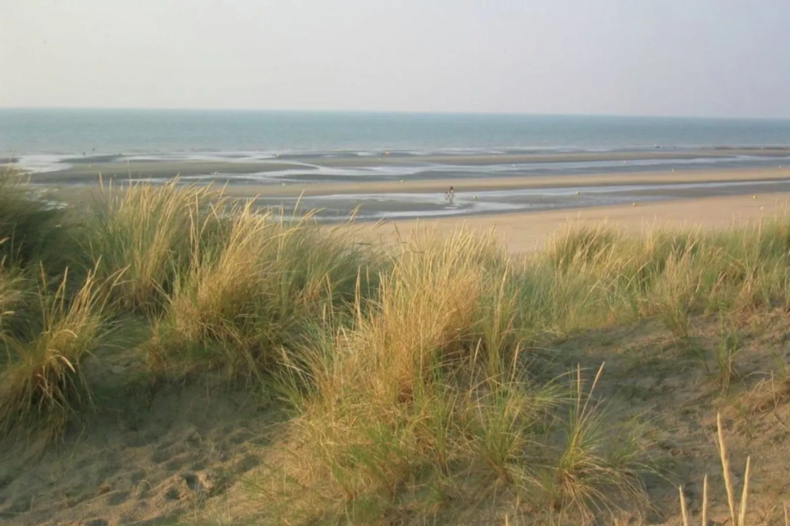 Etoile de Mer 1-Areas summer 1km
