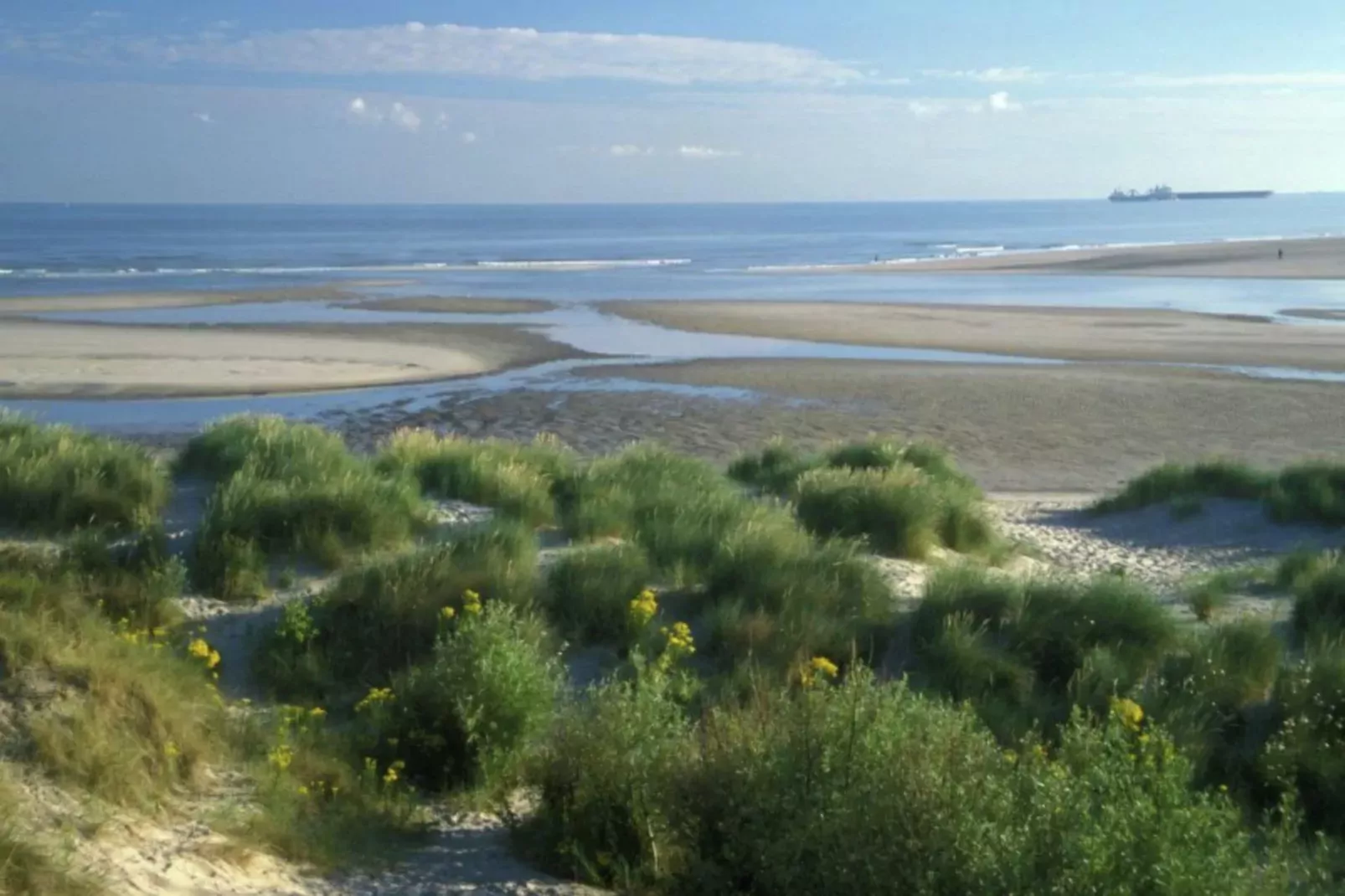 Etoile de Mer 2-Areas summer 1km