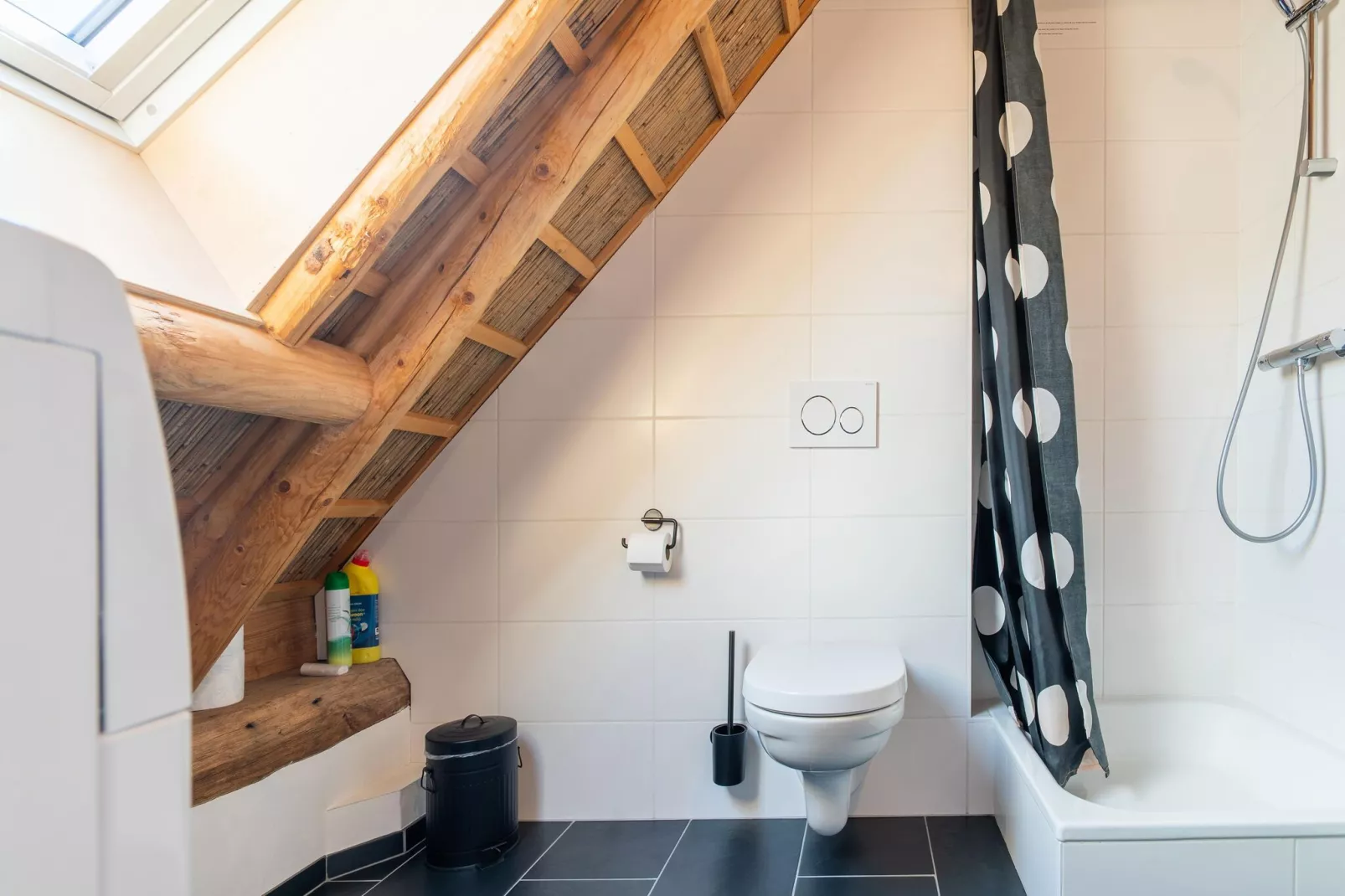 Woonboerderij in Staphorst voor 6 personen-Bathroom