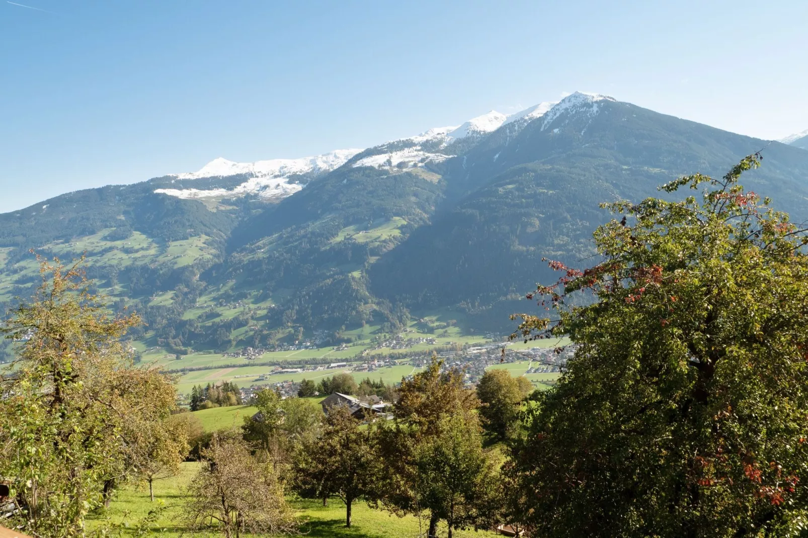 Steigerhof-Areas summer 1km