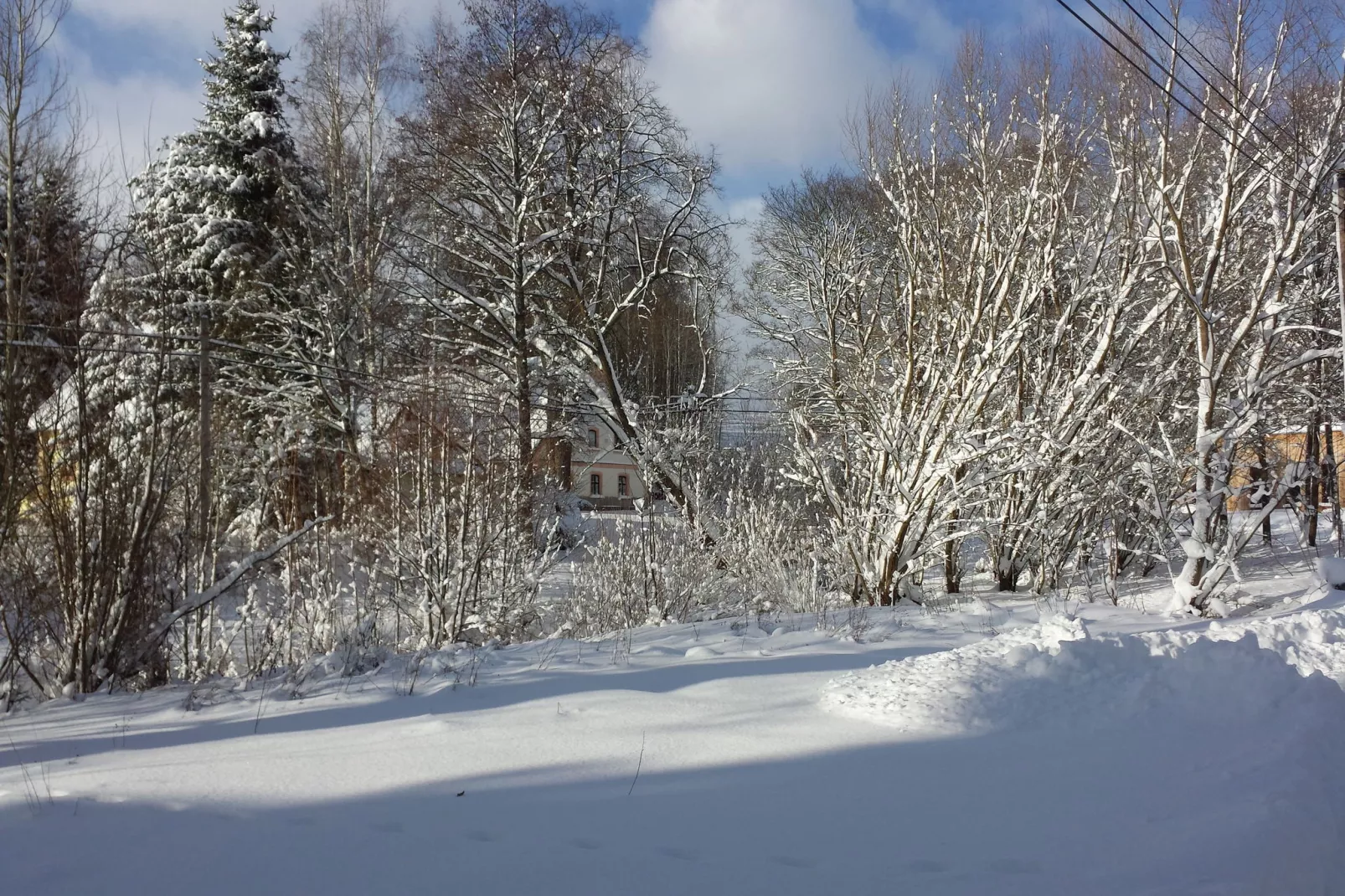 Huis Javornik-View winter