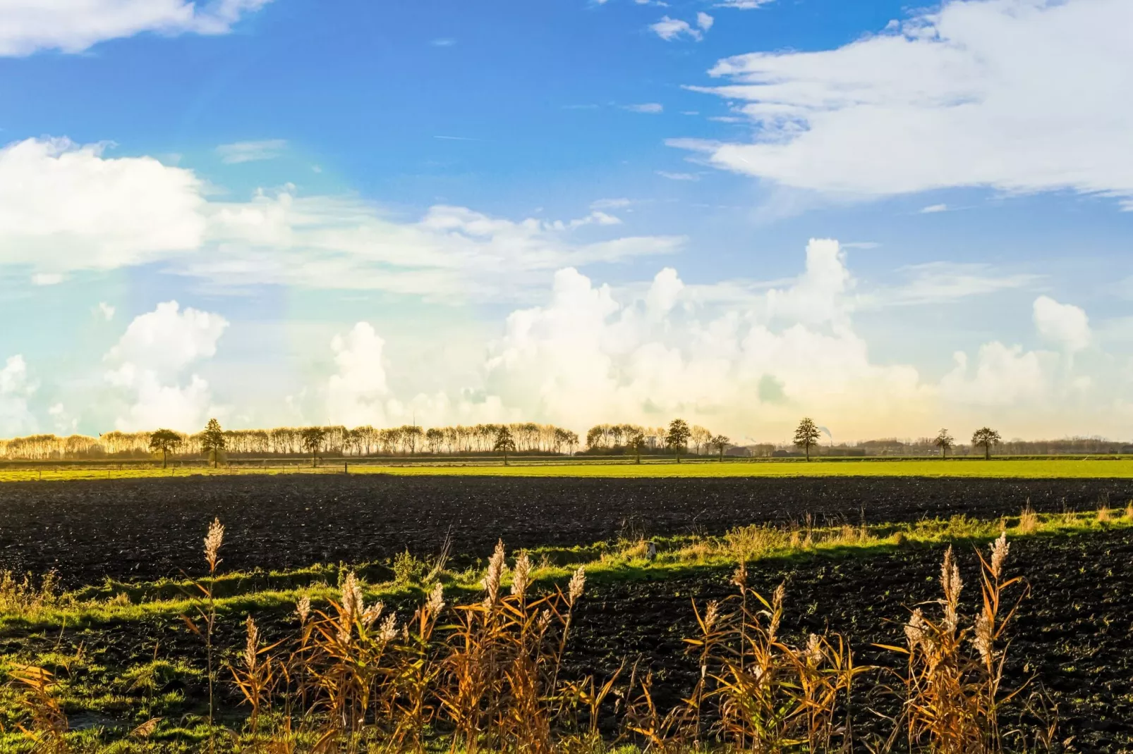 Vakantiehuisje 2 Vuur Groene Camping Lage Zwaluwe-Gebiete Sommer 5 km