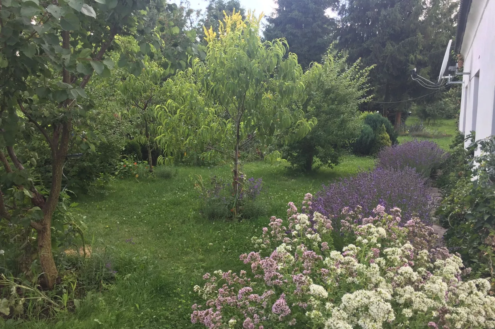 Old Bakery-Gardens summer
