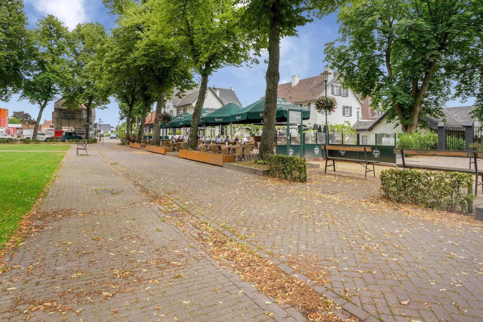 In de Witte Dame - 32-Areas summer 1km