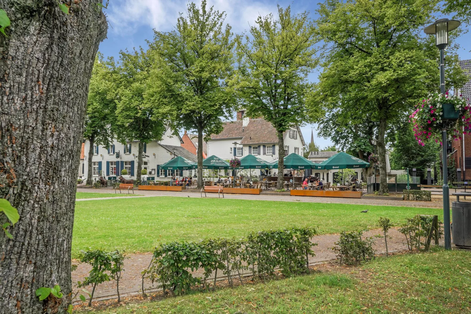 In de Witte Dame - 32-Areas summer 5km