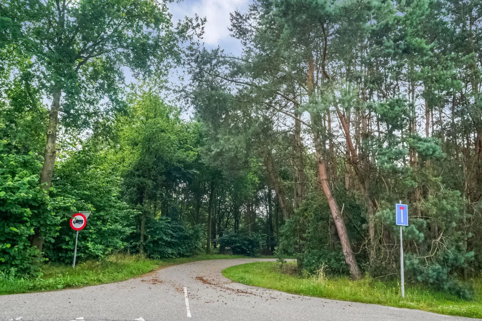 In de Witte Dame - 32-Areas summer 5km