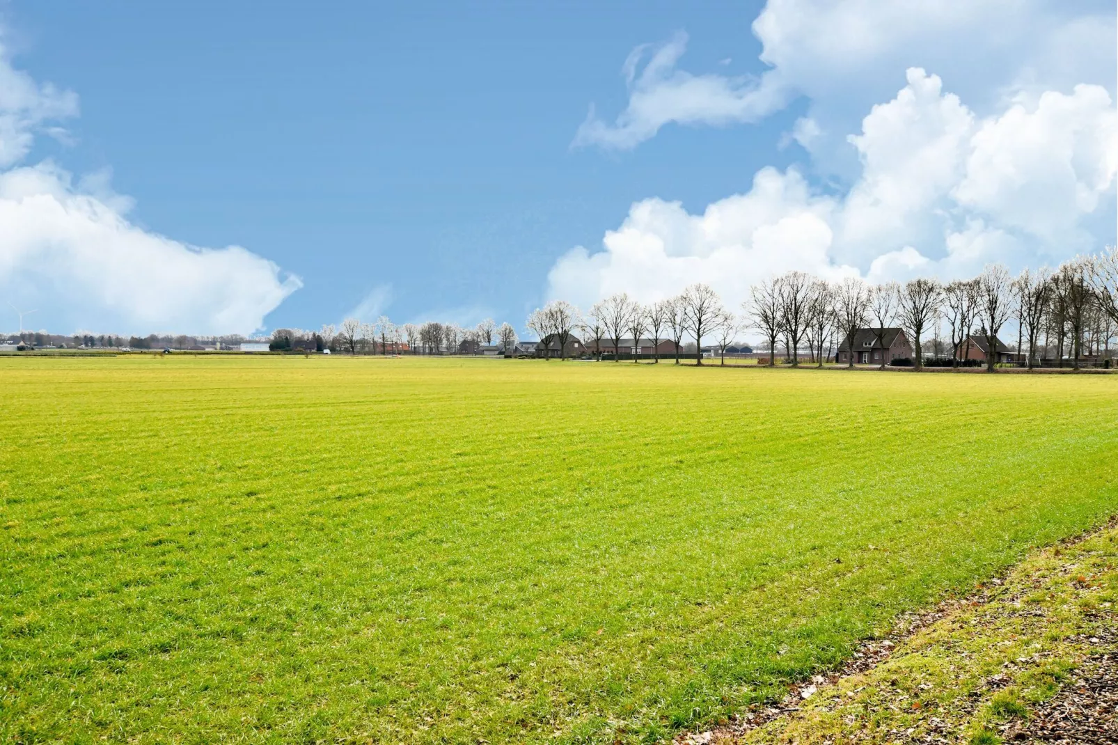 Stille WIlle Nr B126-Gebiete Sommer 1 km