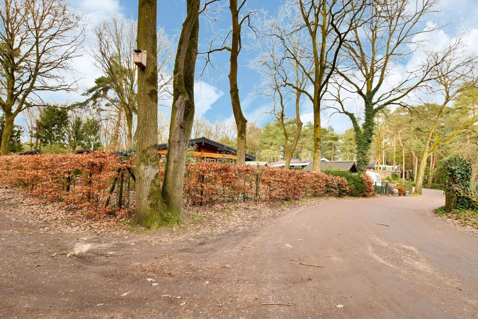 Stille WIlle Nr B126-Gebiete Sommer 1 km