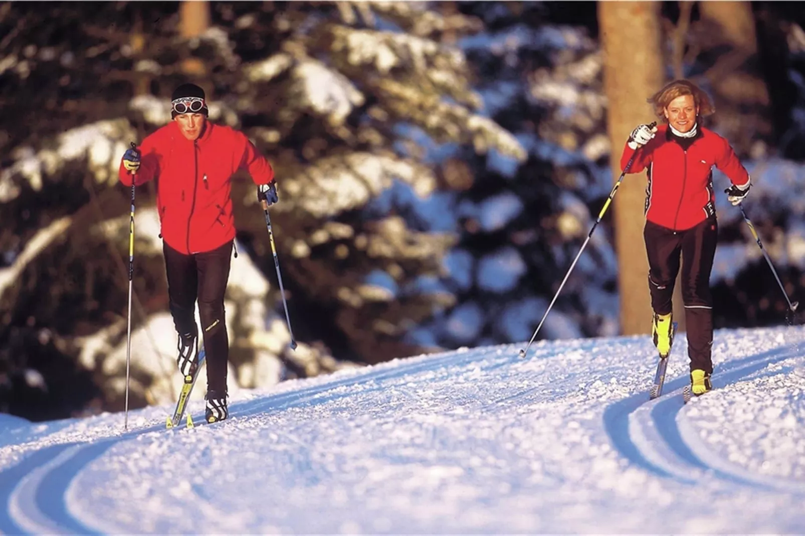 Luxery Salzkammergut Chalet C-Area winter 5km