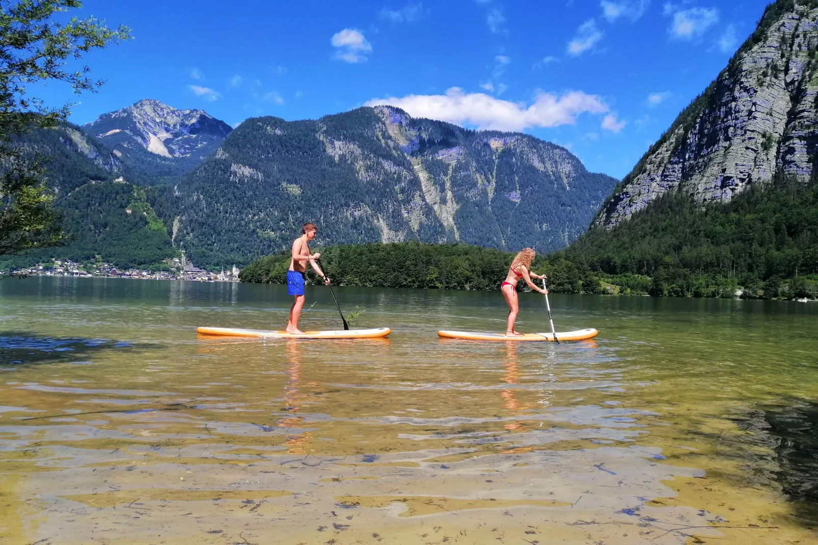Luxery Salzkammergut Chalet C-Areas summer 5km