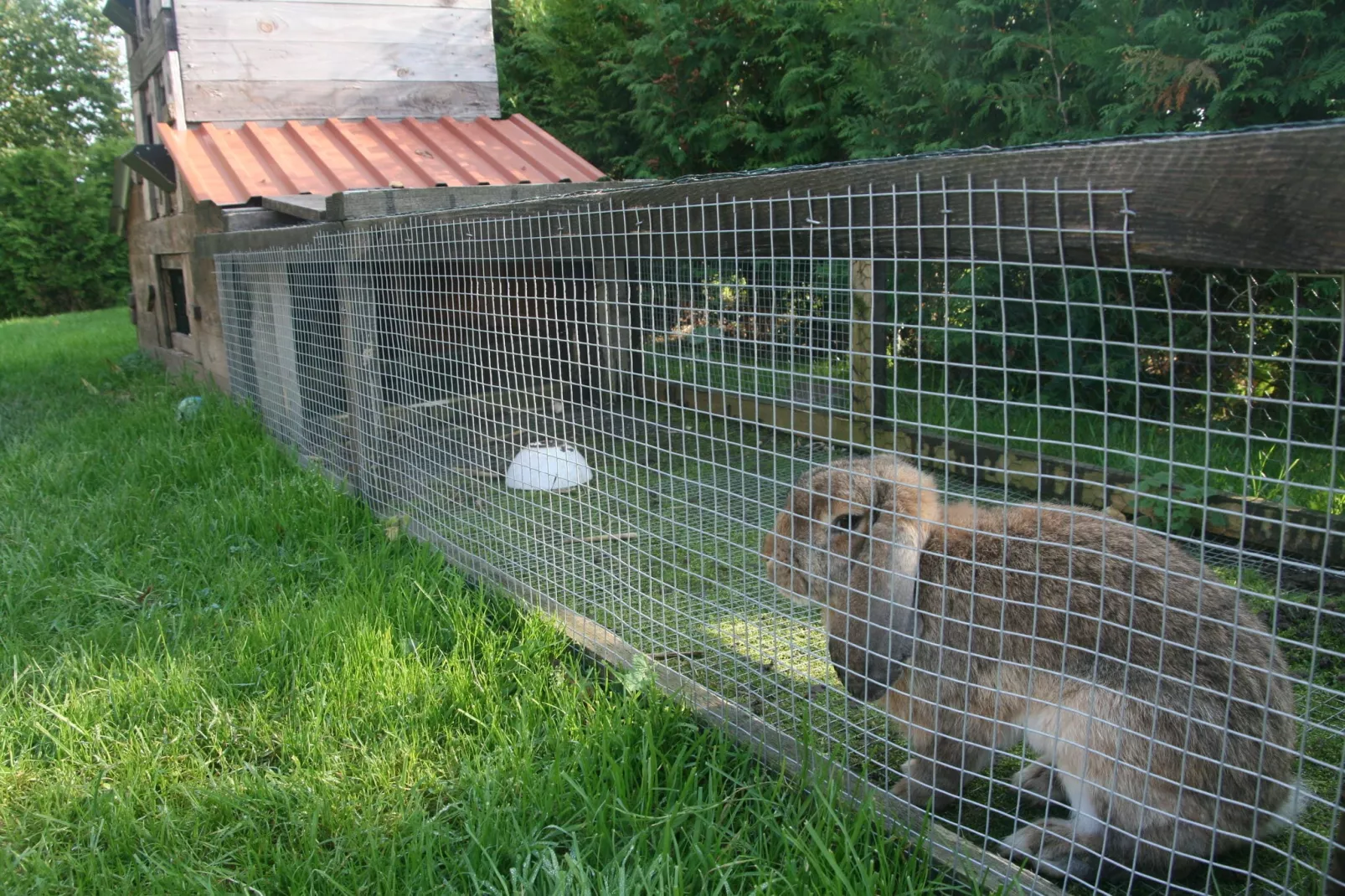 Ferienzimmer im Landhaus bei Kühlungsborn-Gardens summer