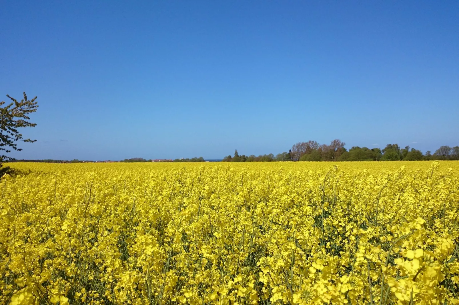 Zum Breitling-Gebiete Sommer 5 km