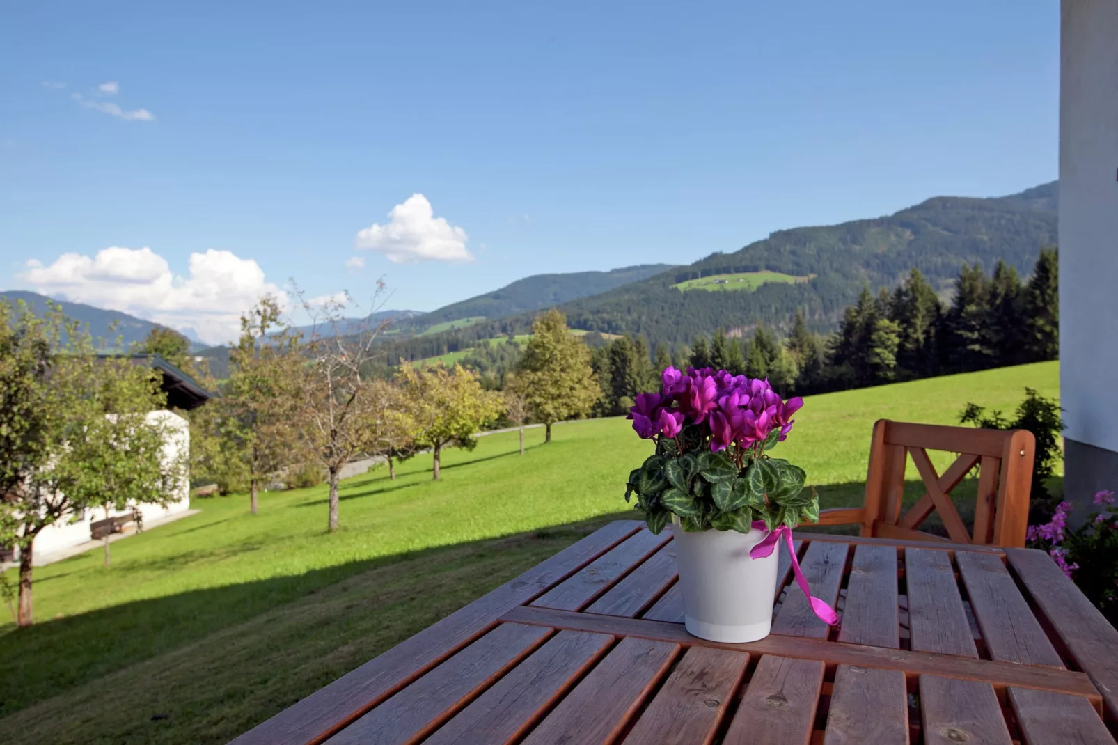 Haus Pehambauer-Aussicht Sommer