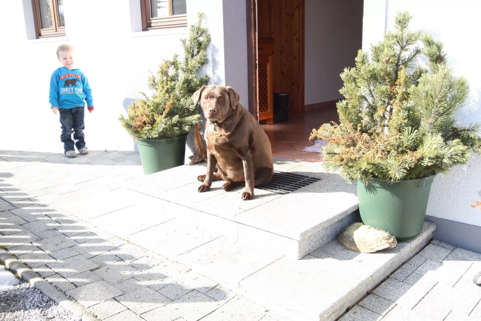 Haus Pehambauer-Ambiente