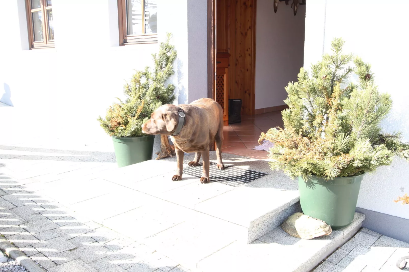 Apartment Pehambauer-Garden winter
