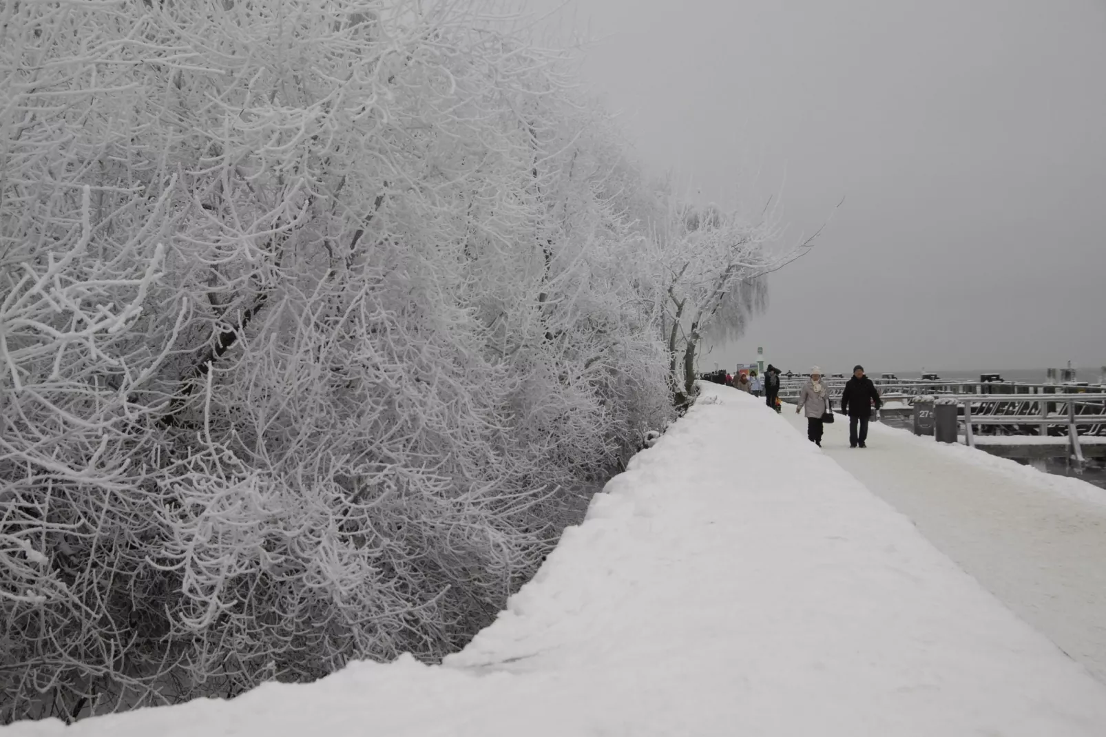 Sommerrose-Area winter 5km