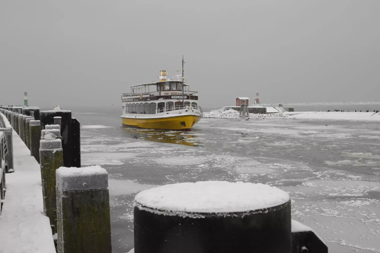Sommerrose-Area winter 20km