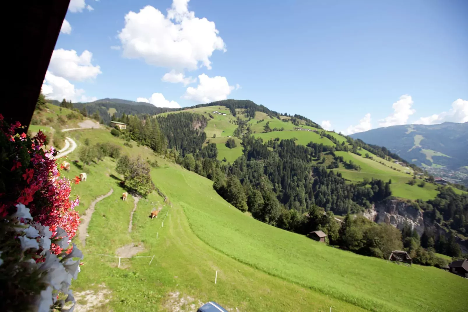 Durchholzhof-Aussicht Sommer