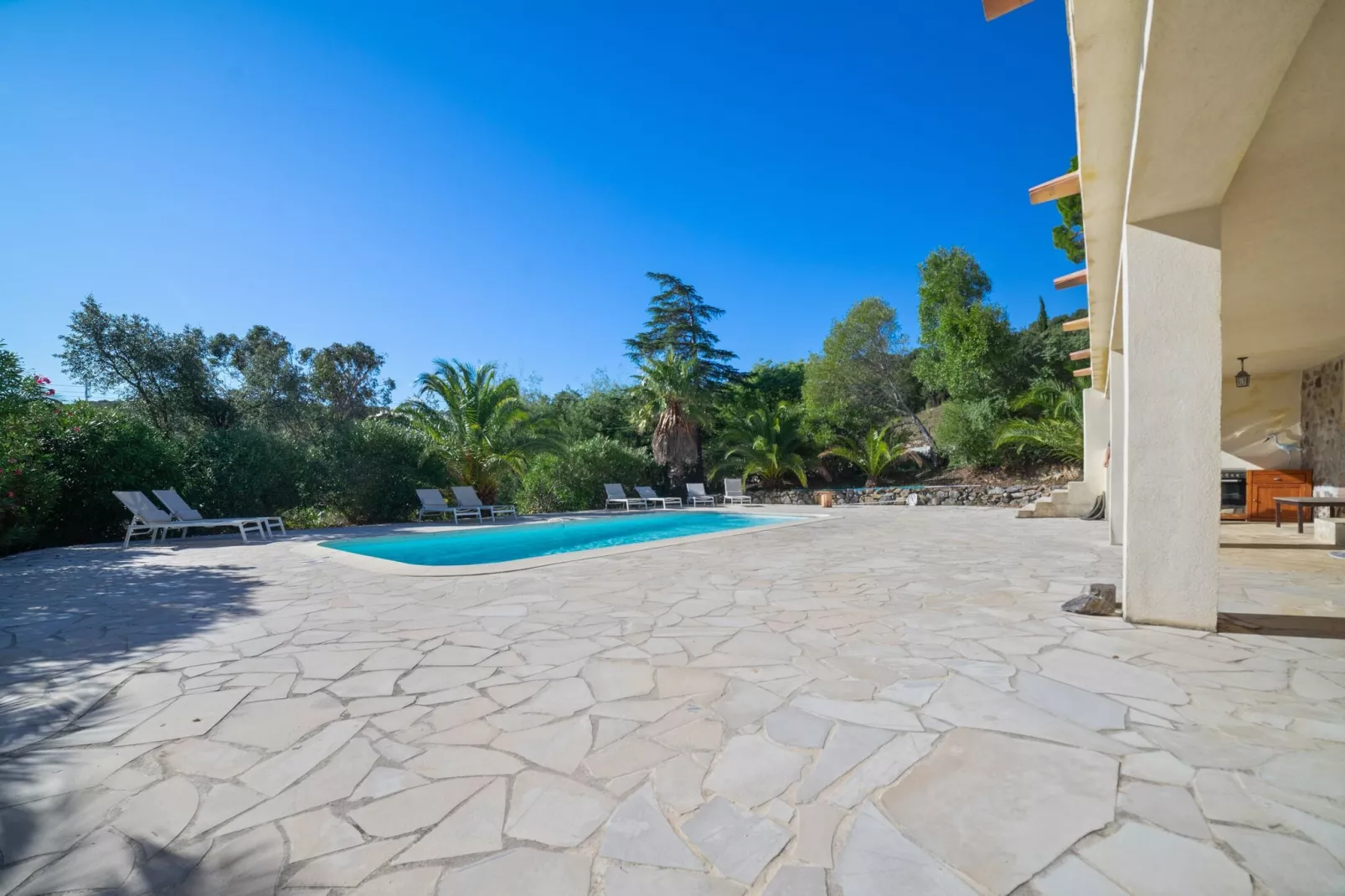 Cedre-Pool