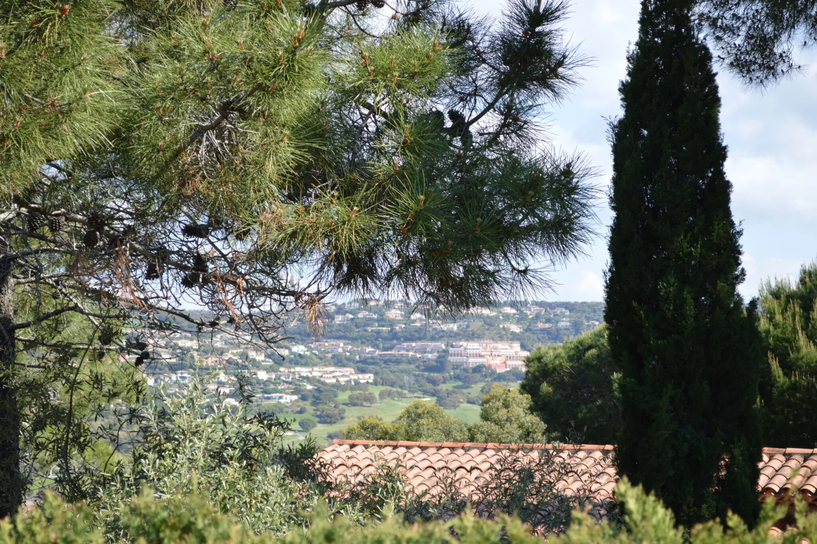 Bellevue-View in summer