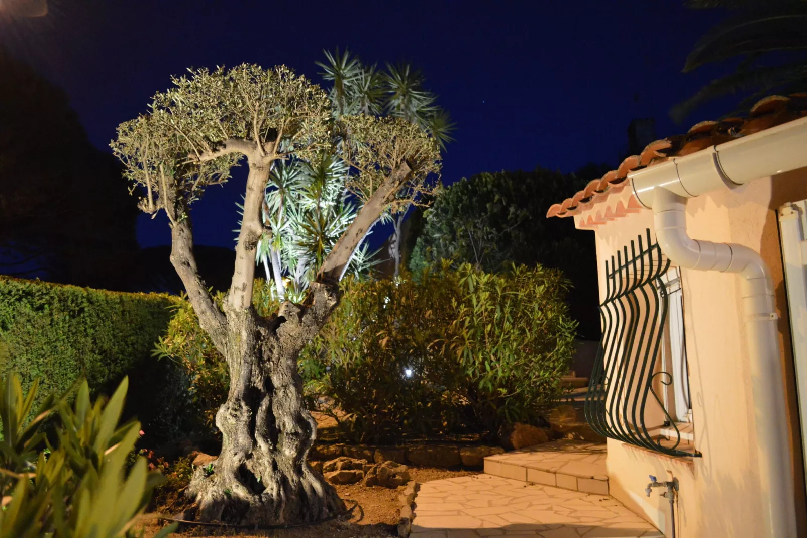 Bellevue-Gardens in summer