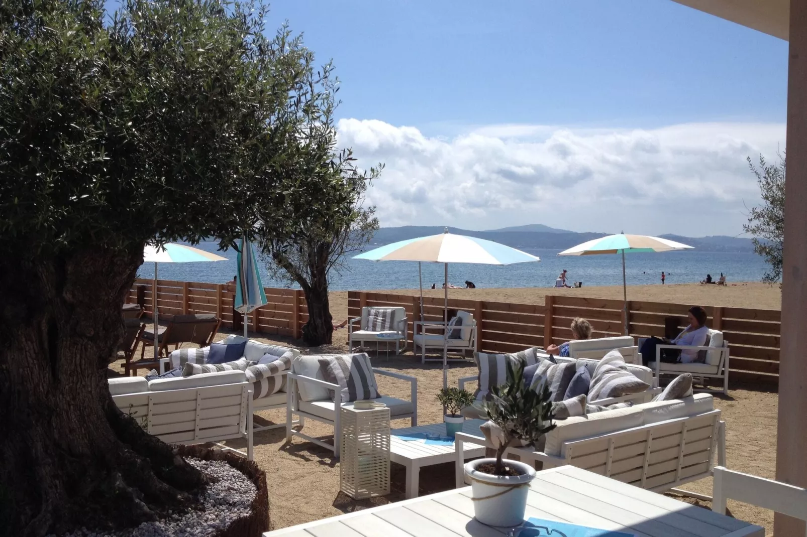 Bellevue-Areas within 1km in summer