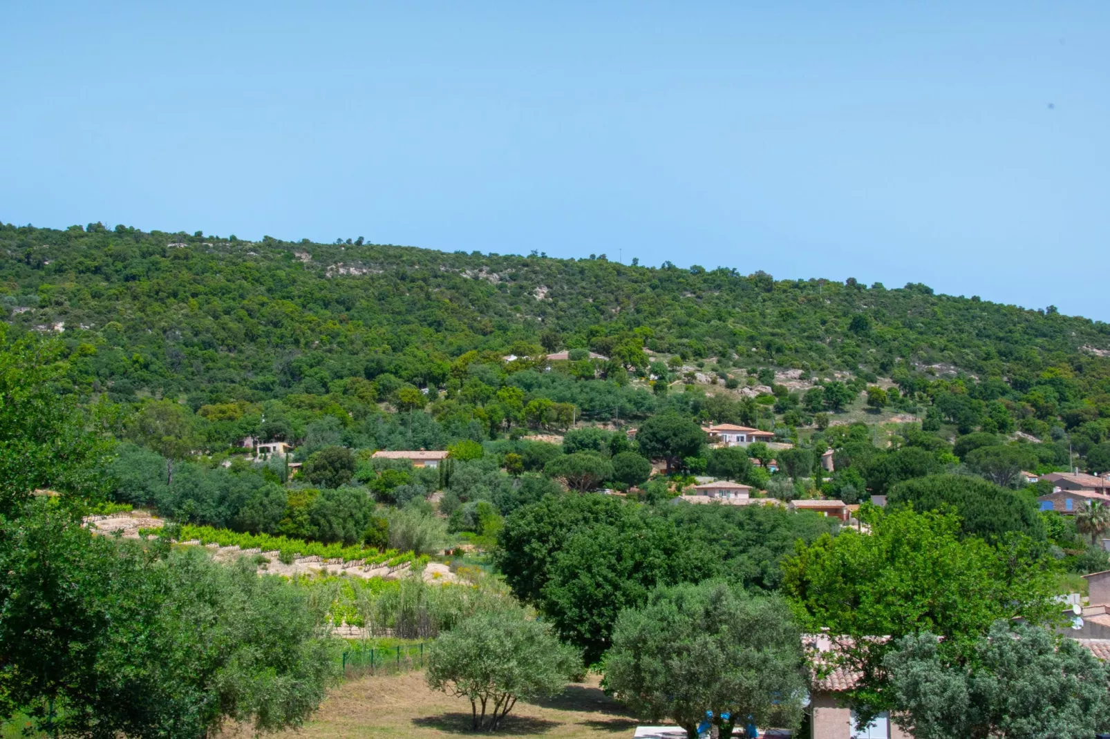 Villa Charlotte-Vue d'été