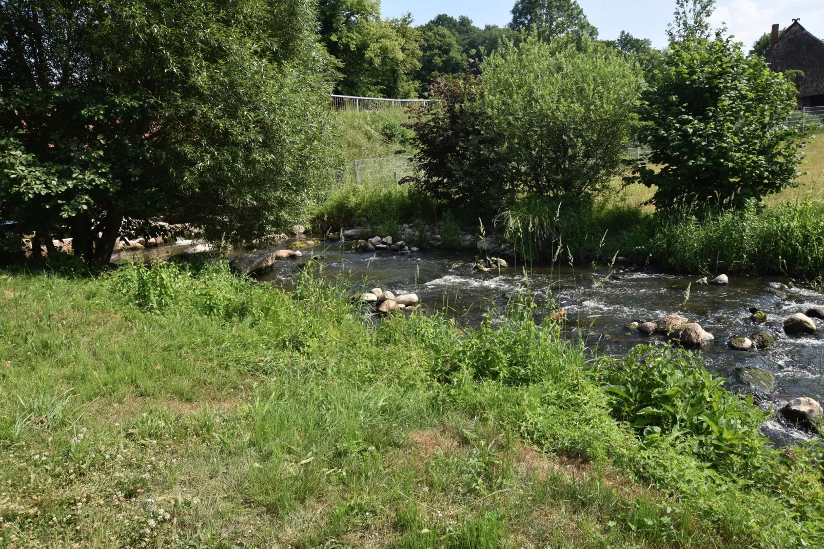Am Hellbach-Areas summer 1km