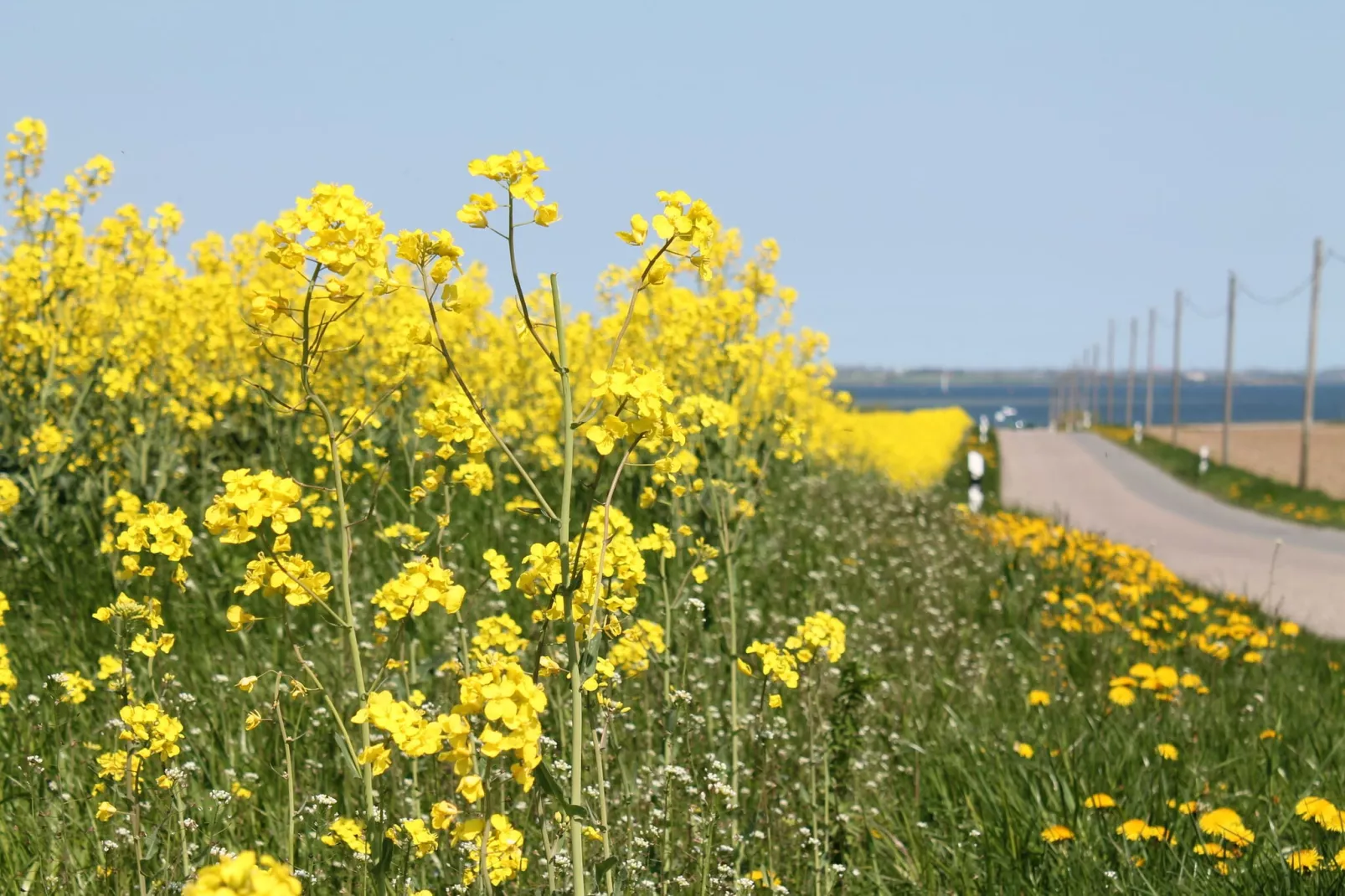 Landidyll-Areas summer 5km