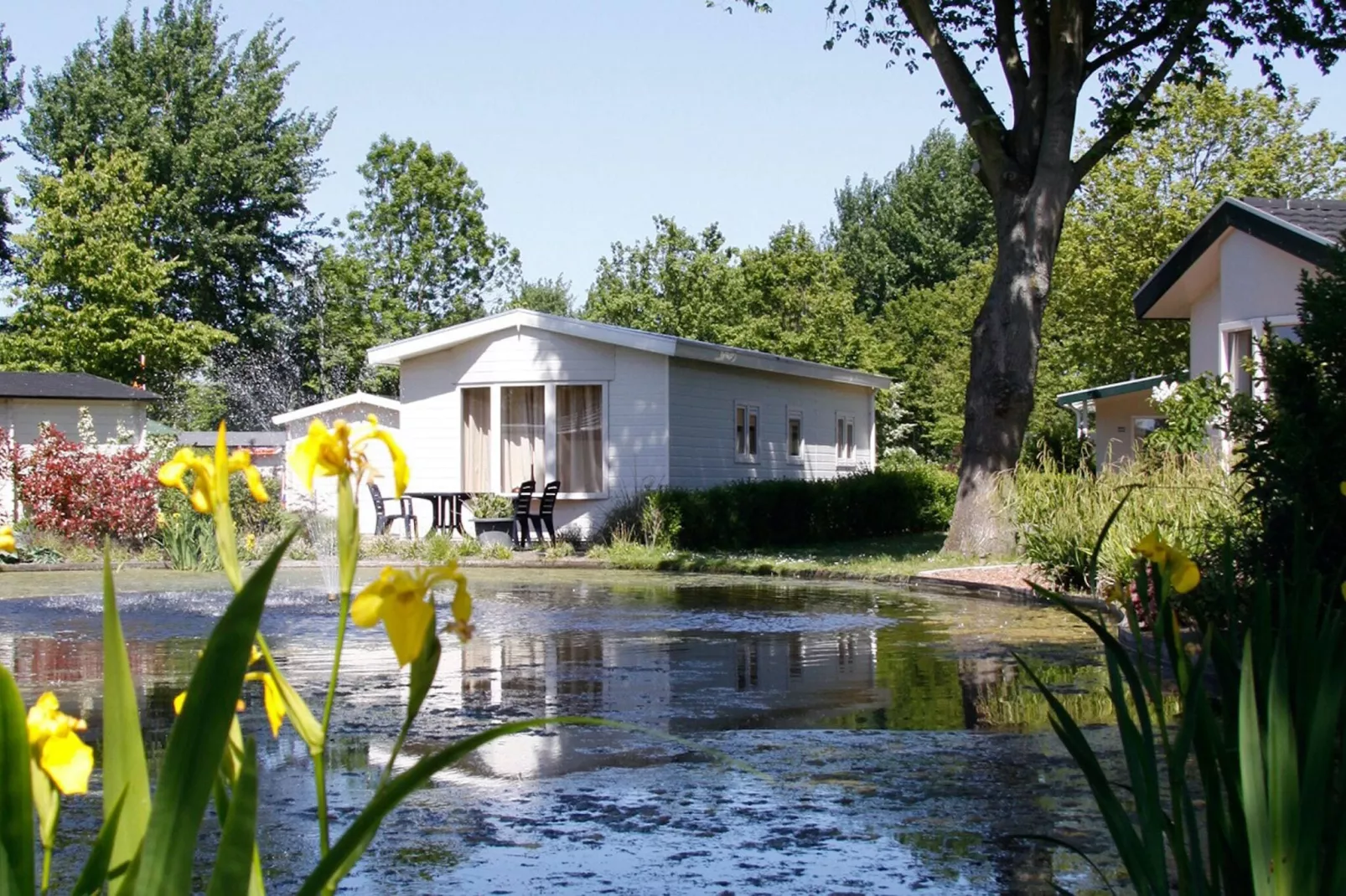 Vakantiepark Molengroet 2-Areas summer 1km