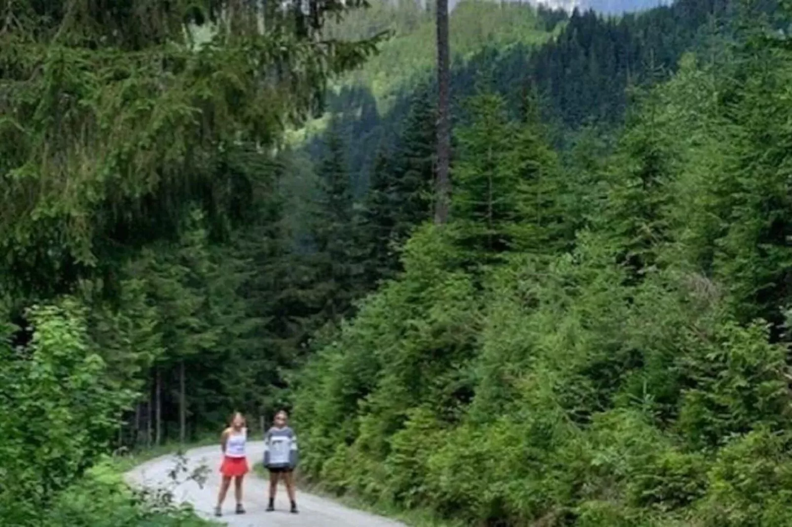 Landhaus Josien-Areas within 5km in summer