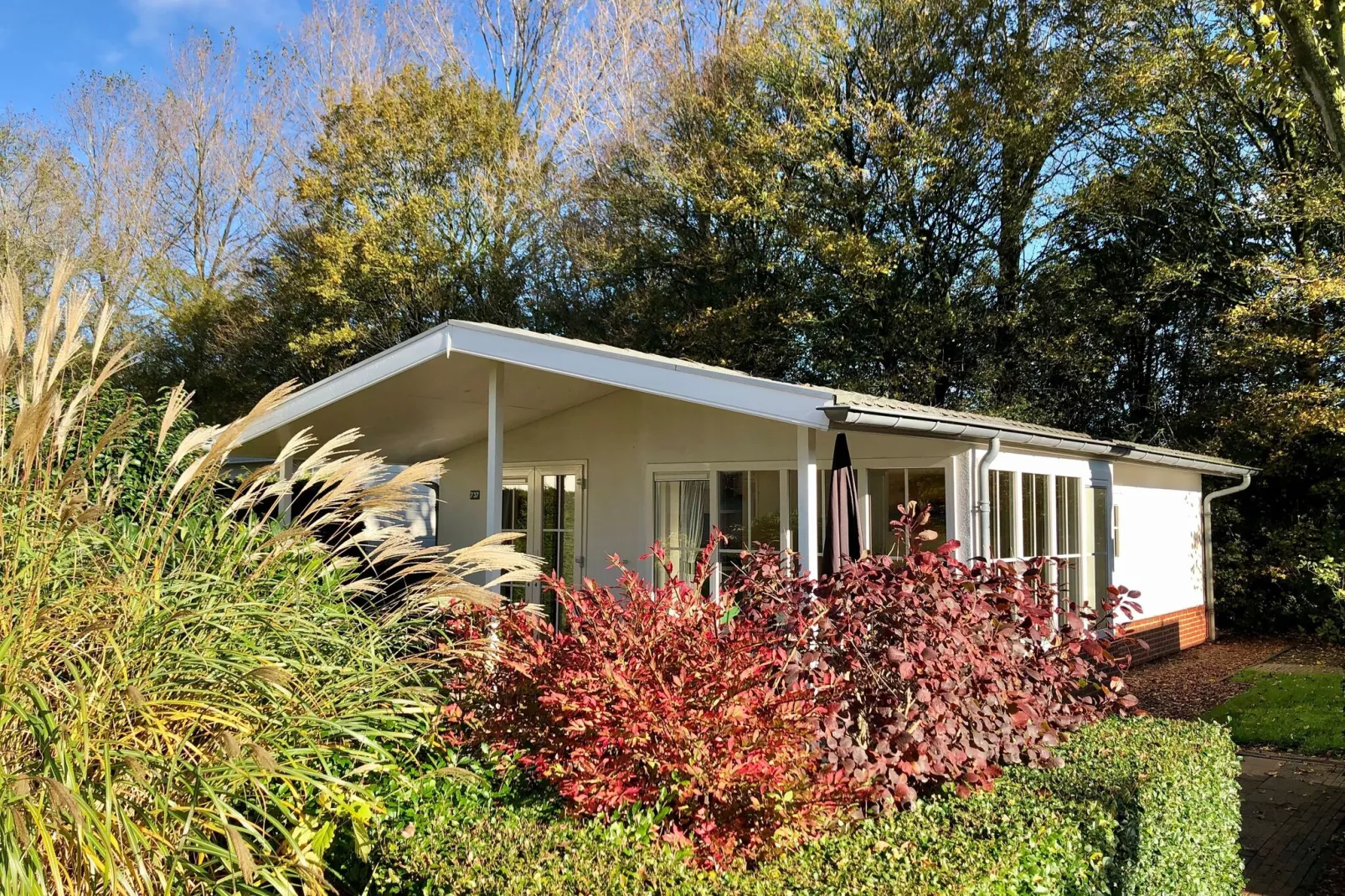 Vakantiepark Molengroet 3-Exterior summer