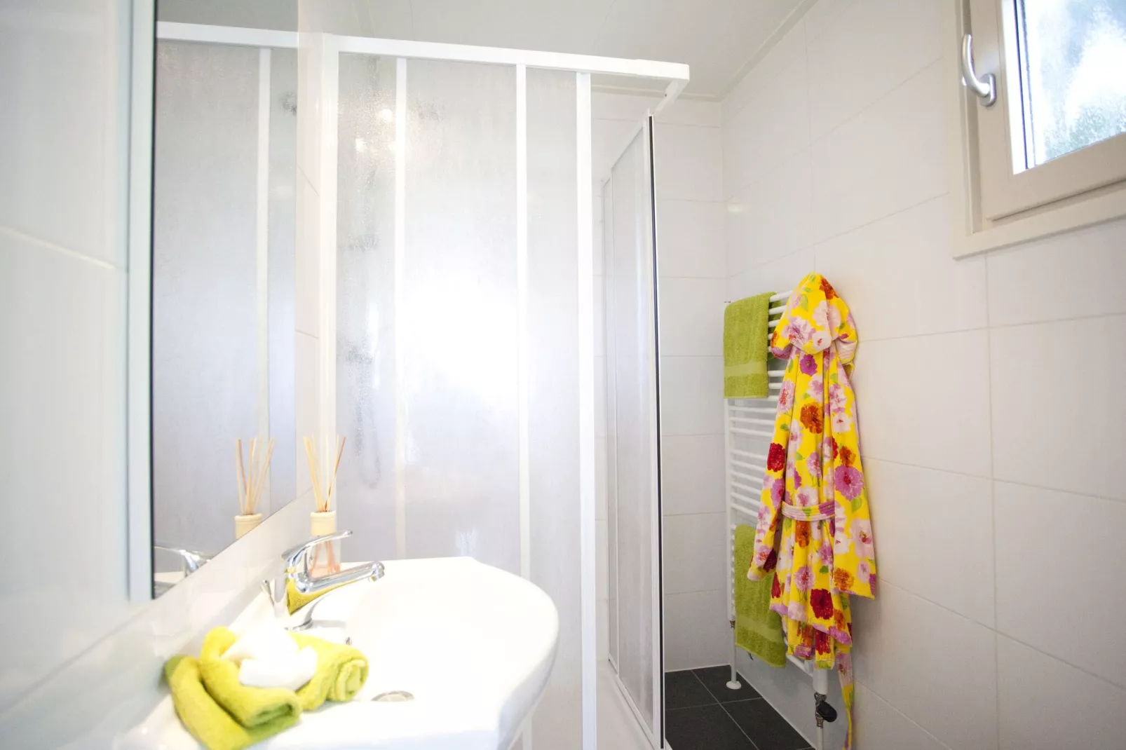 Vakantiepark Molengroet 4-Bathroom